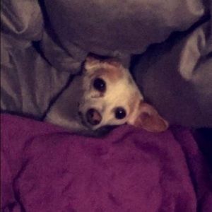 Meet your Posher, Liz